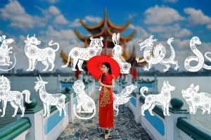 Подробнее о статье Гороскоп на неделю по знакам китайского зодиака c 9 по 15 октября 2023 года — общий обзор и счастливые дни