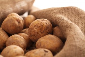 Как выбрать картофель для посадки весной: сорта, благоприятные дни